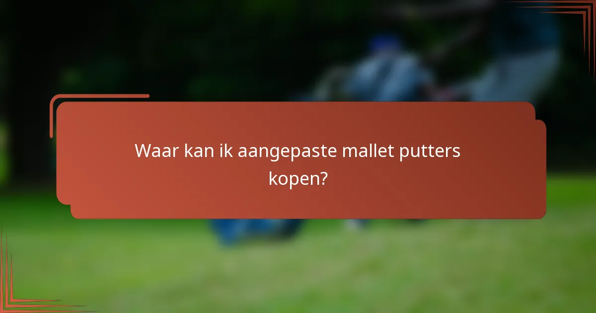 Waar kan ik aangepaste mallet putters kopen?