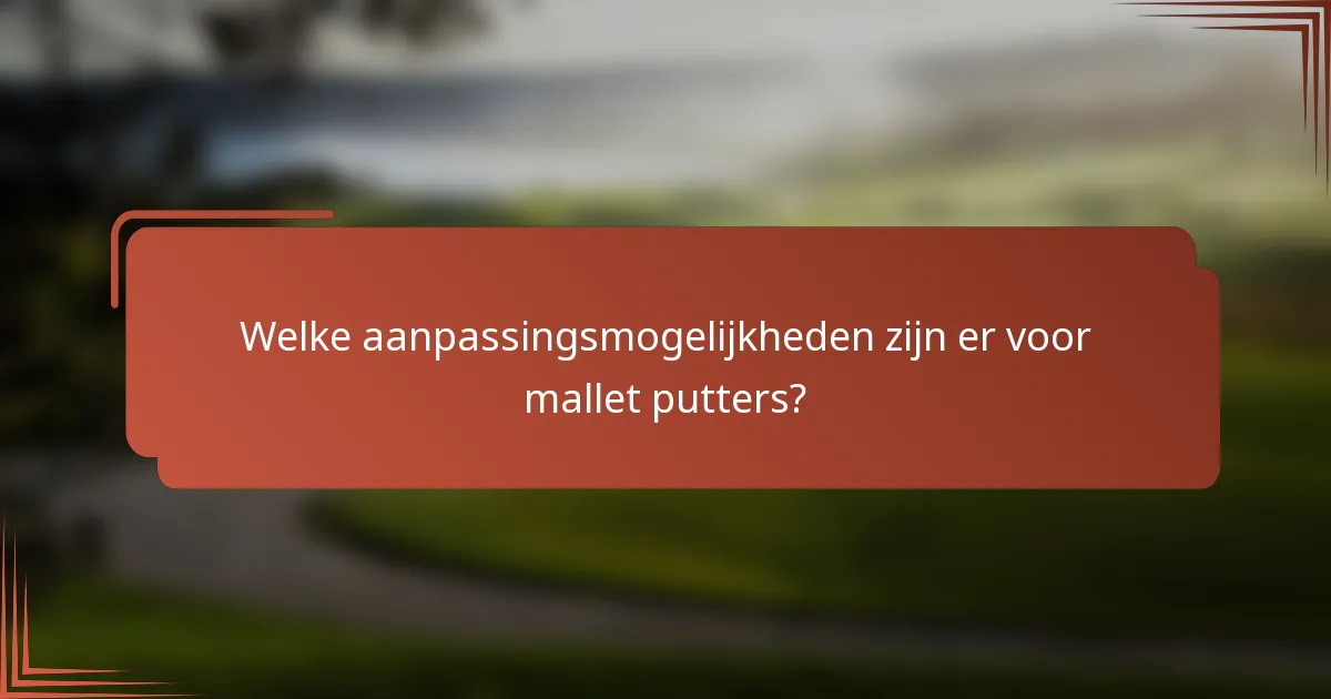 Welke aanpassingsmogelijkheden zijn er voor mallet putters?