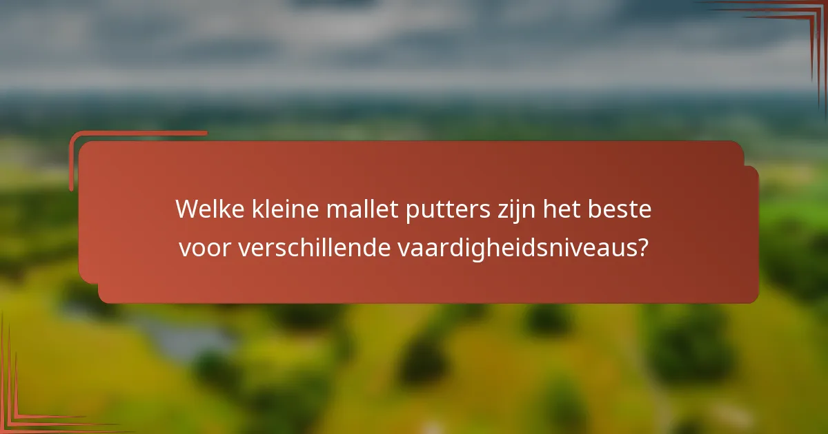 Welke kleine mallet putters zijn het beste voor verschillende vaardigheidsniveaus?