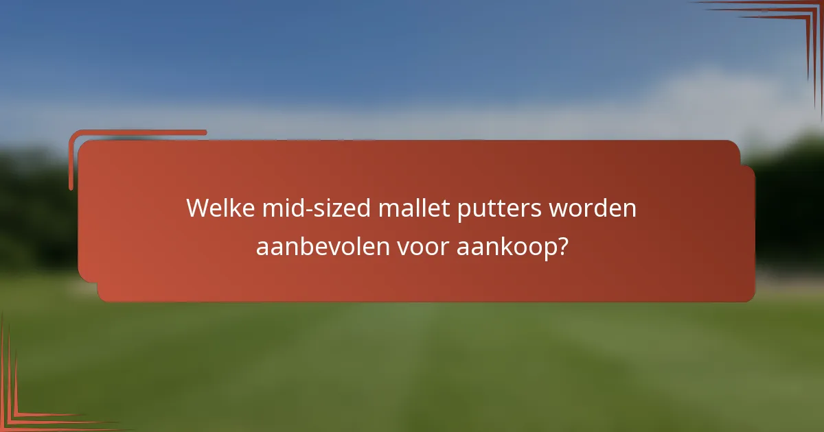 Welke mid-sized mallet putters worden aanbevolen voor aankoop?