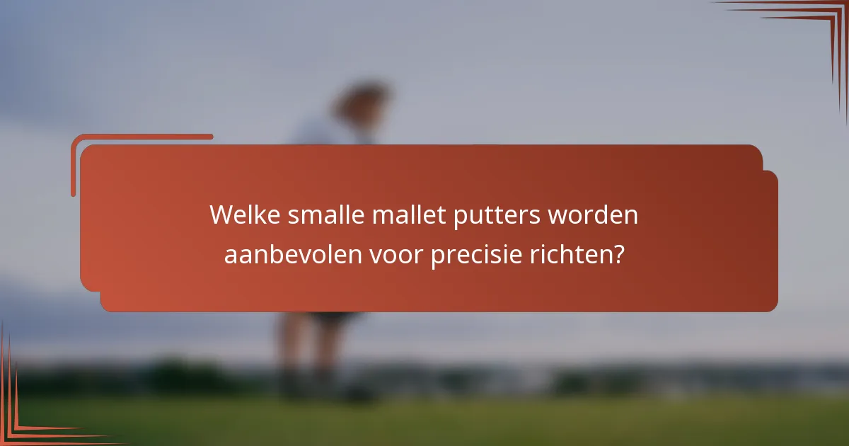 Welke smalle mallet putters worden aanbevolen voor precisie richten?
